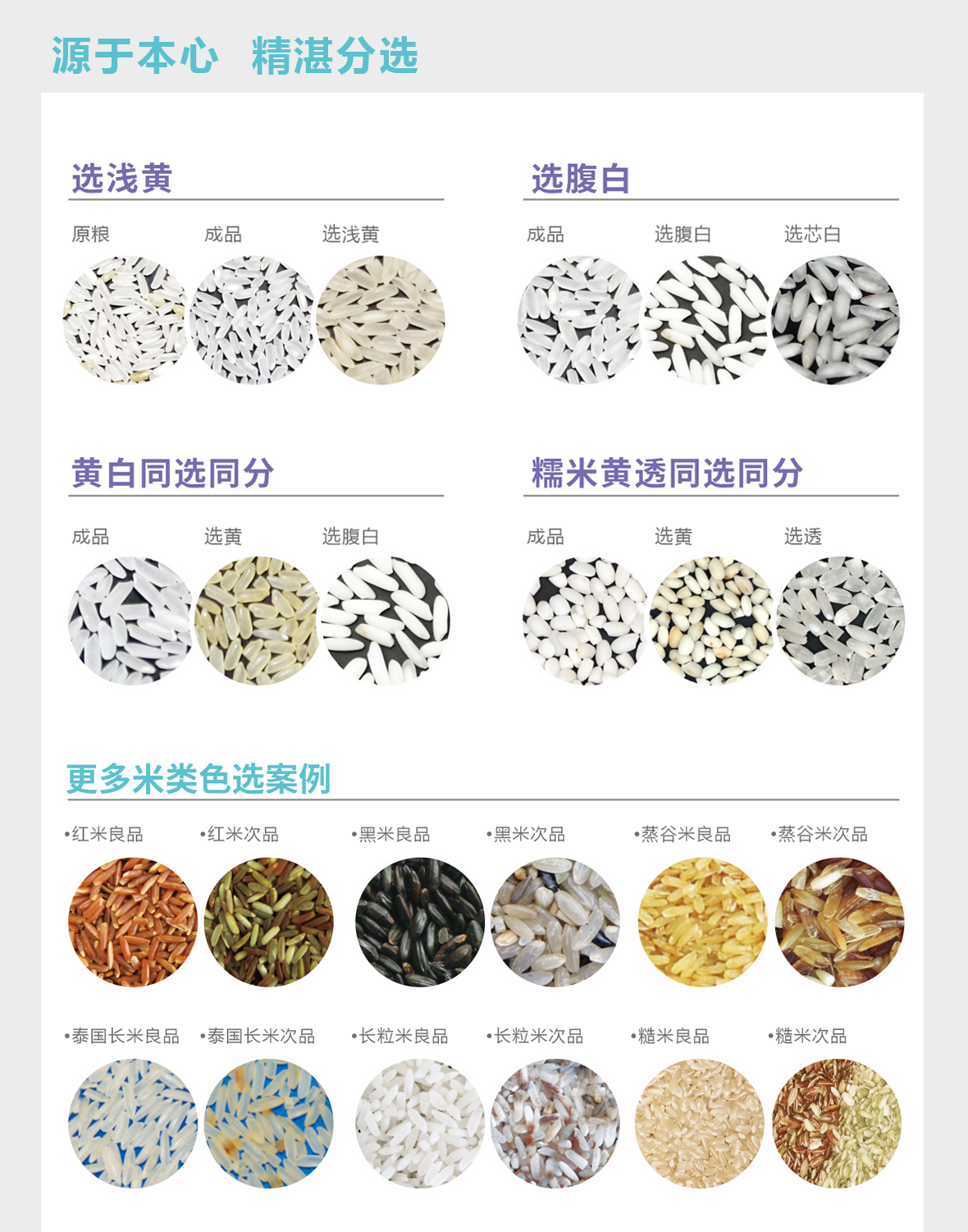 http://www.pingantop.com/Upload/ueditor/1629964530639556.png