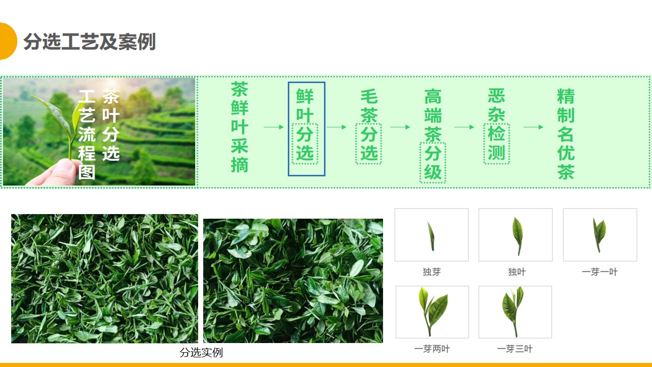 http://www.pingantop.com/Upload/ueditor/1681280335278777.jpg