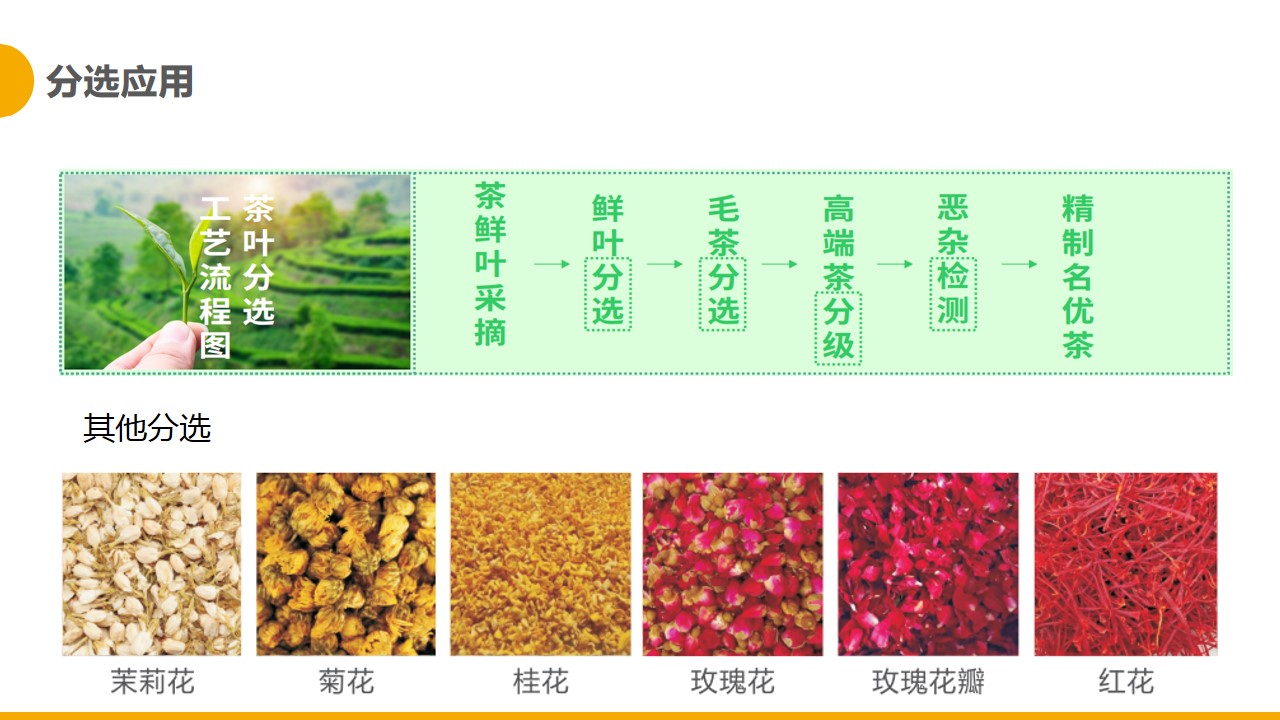 http://www.pingantop.com/Upload/ueditor/1681365602994585.jpg