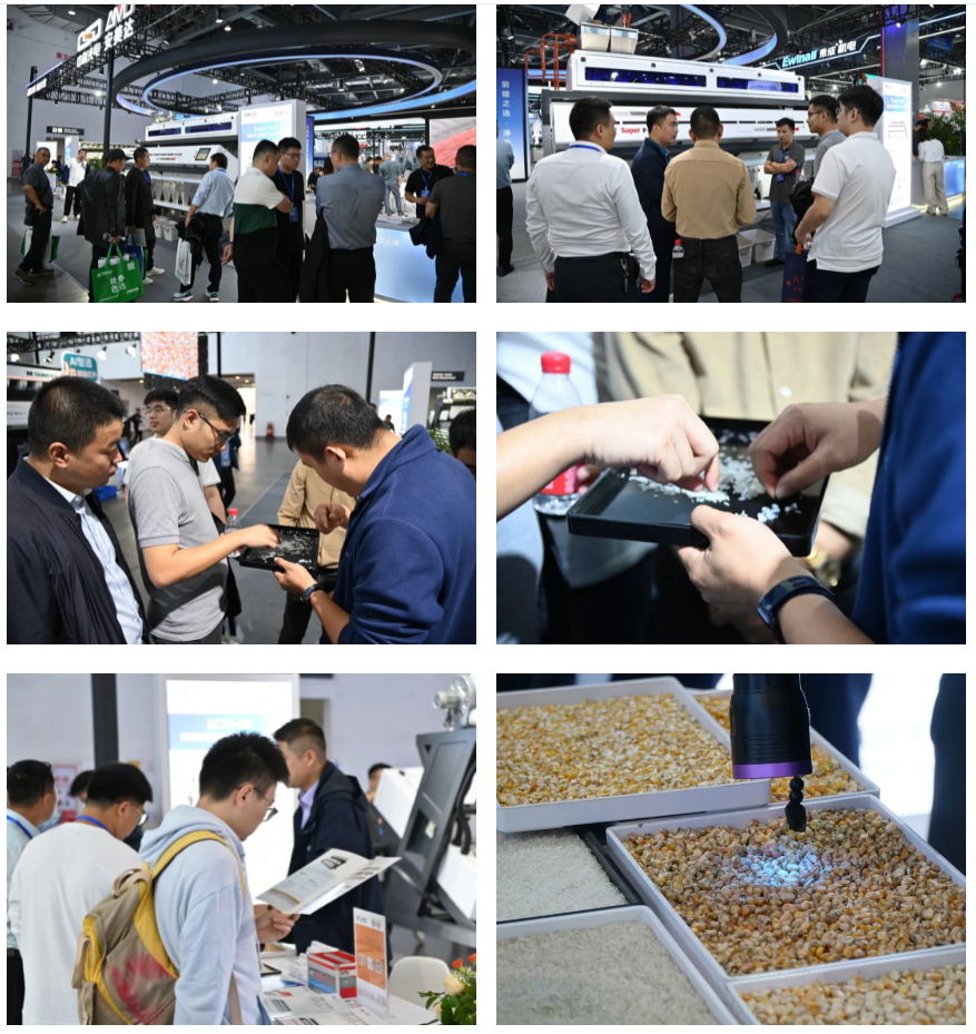 http://www.pingantop.com/Upload/ueditor/1731921914805513.png