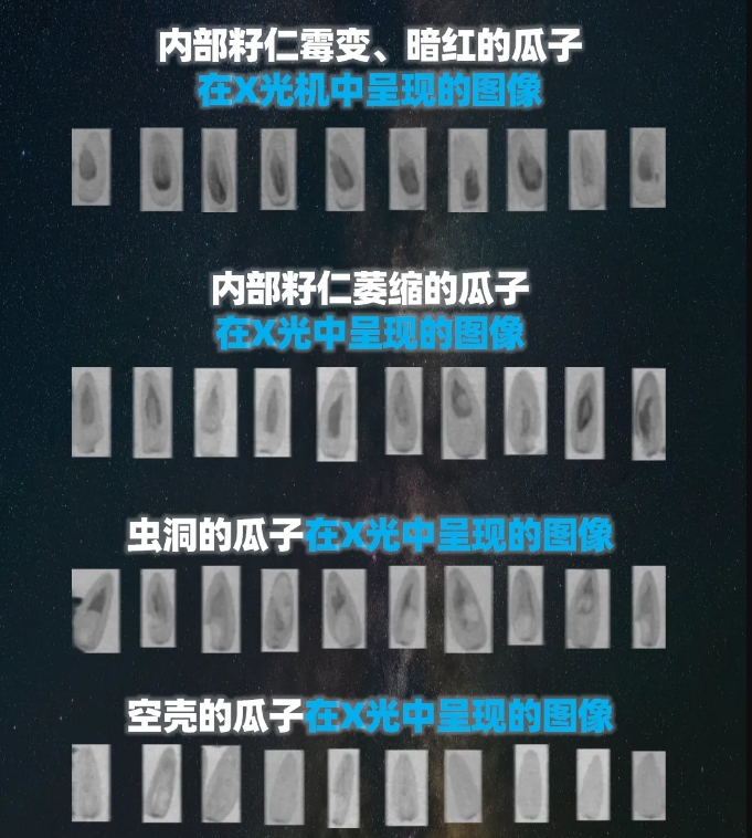 http://www.pingantop.com/Upload/ueditor/1739781746639725.png
