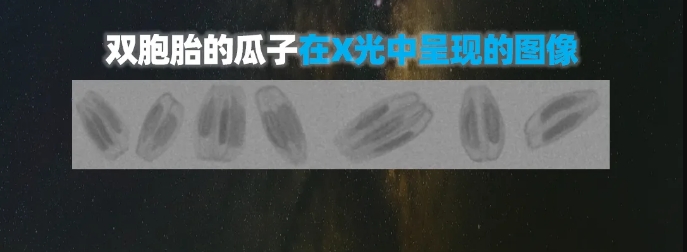 http://www.pingantop.com/Upload/ueditor/1739781751262784.png
