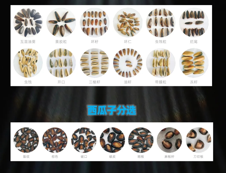 http://www.pingantop.com/Upload/ueditor/1739781790152247.png
