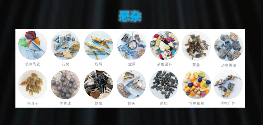 http://www.pingantop.com/Upload/ueditor/1739781798851232.png
